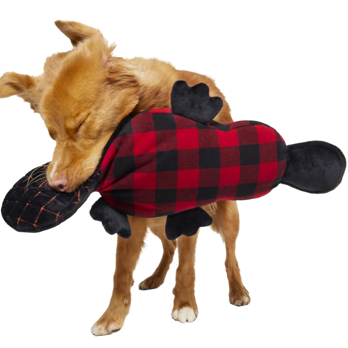Plaidypus Plush Extra-Large Dog Toy
