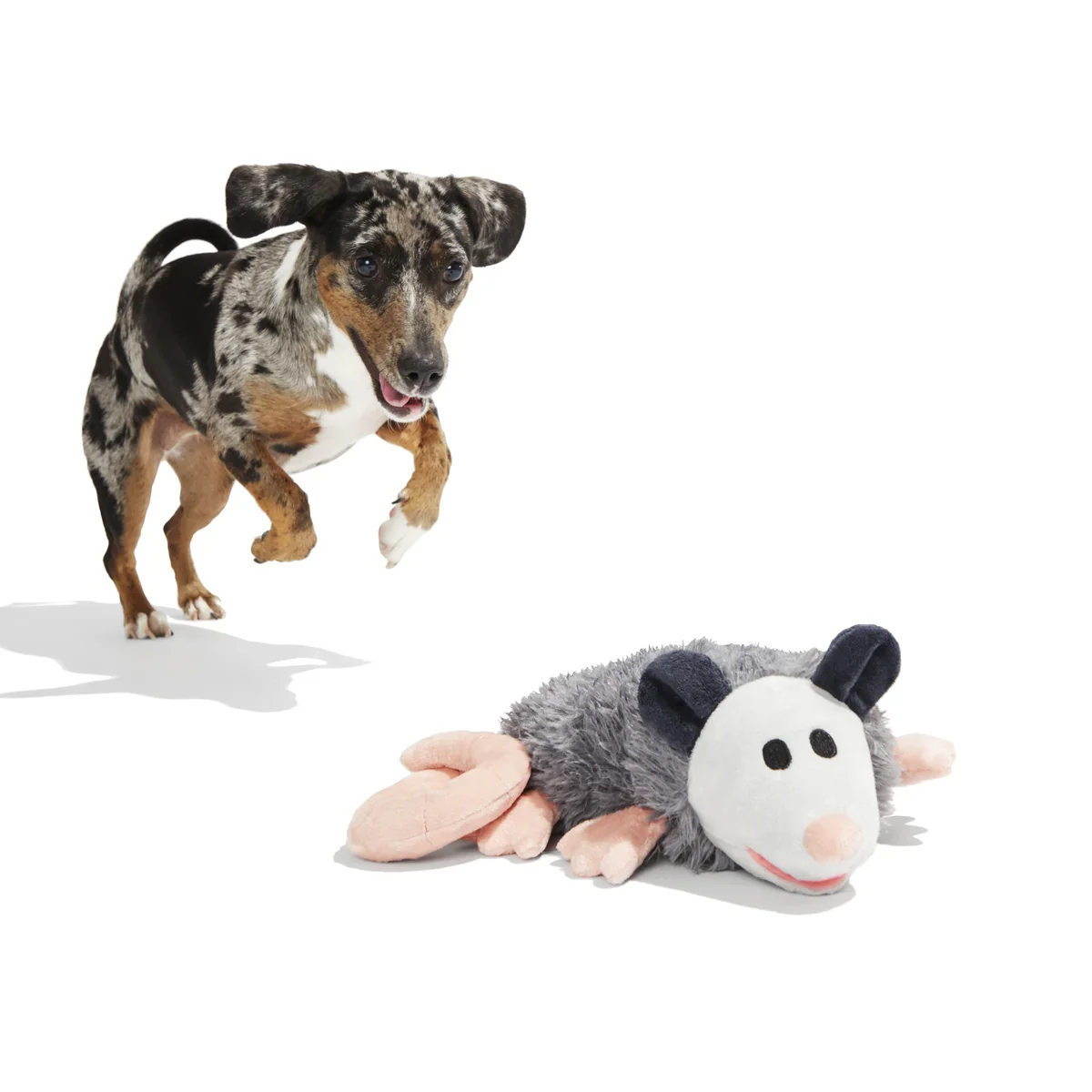 Poppy Possum Plush Tug Dog Toy - Image 2