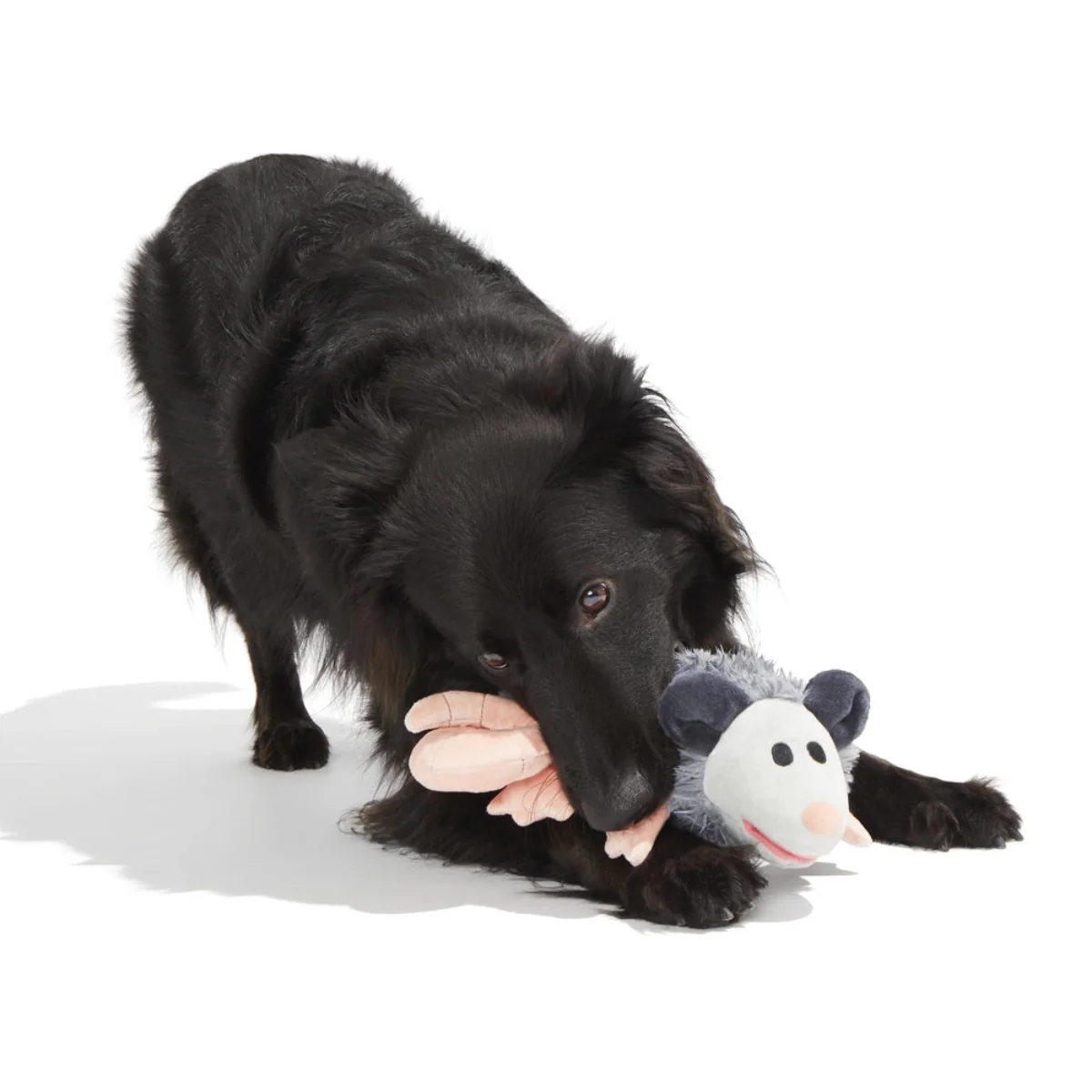Poppy Possum Plush Tug Dog Toy - Image 3