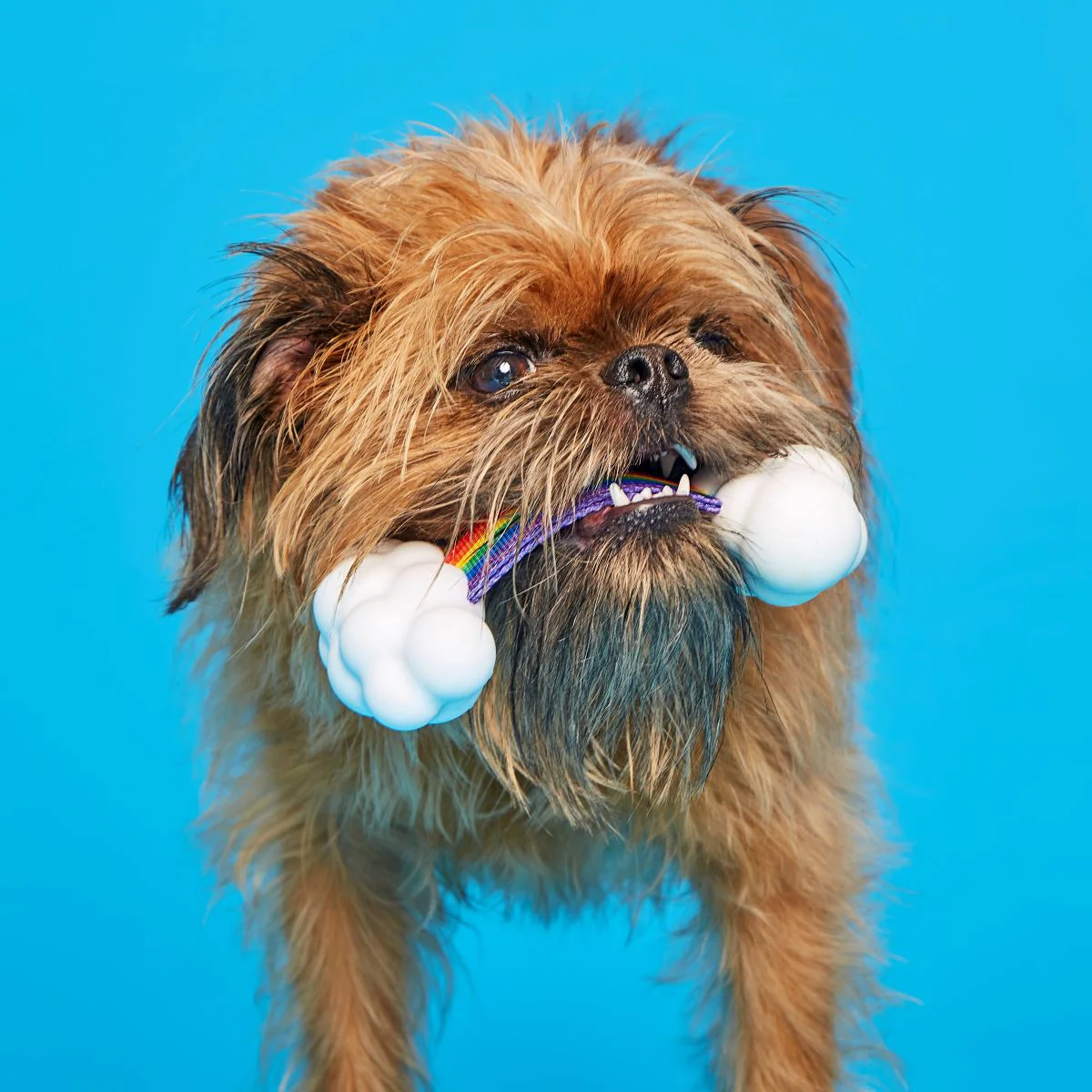 Proud Pup Rainbow Super Chewer Durable Tug Dog Toy - Image 2