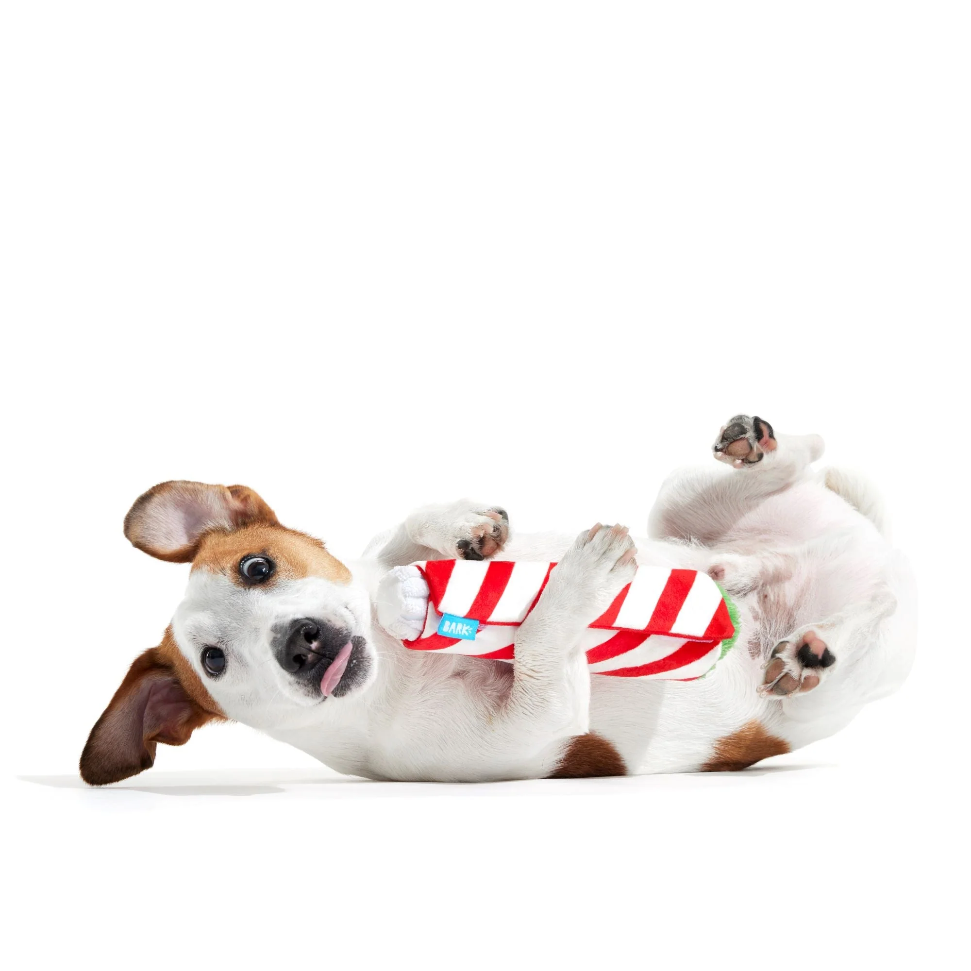 Puffermint Spliff Plush Tug Dog Toy - Image 4
