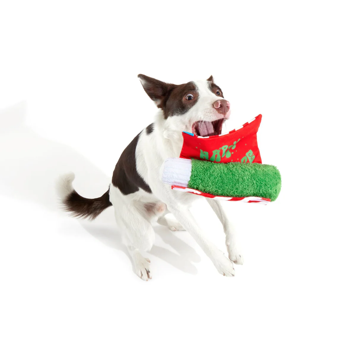 Puffermint Spliff Plush Tug Dog Toy - Image 6
