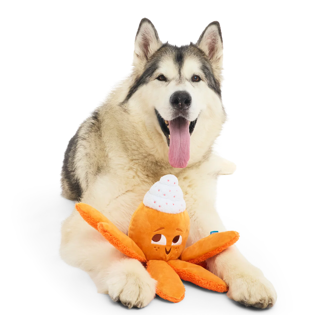 Pumpkin Spice Ollie Plush Tug Dog Toy - Image 4