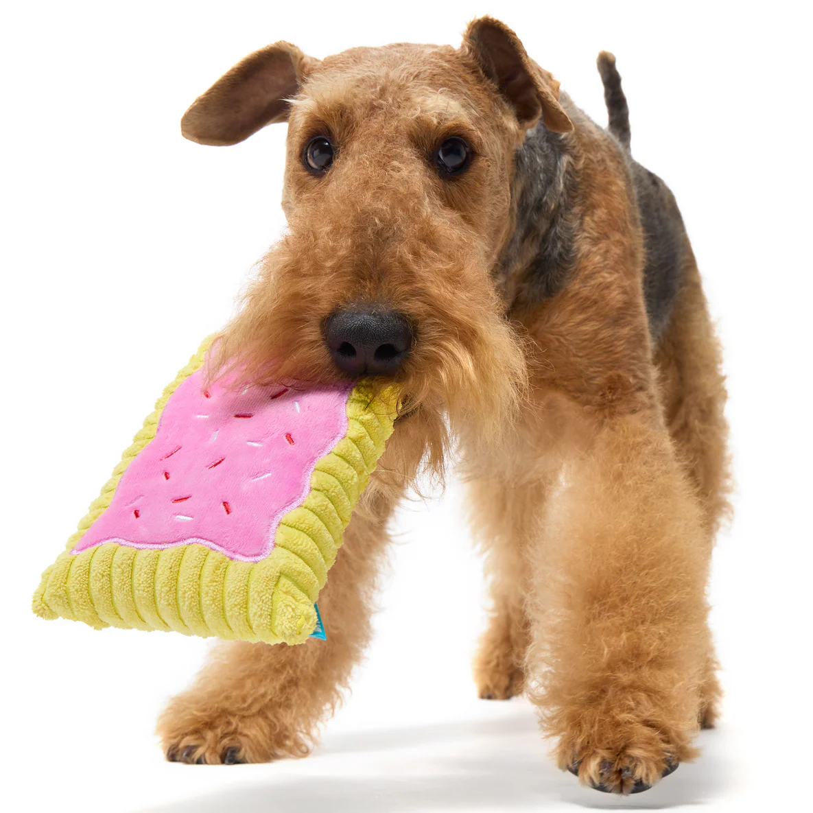 Pup Tart Plush Dog Toy - Image 2