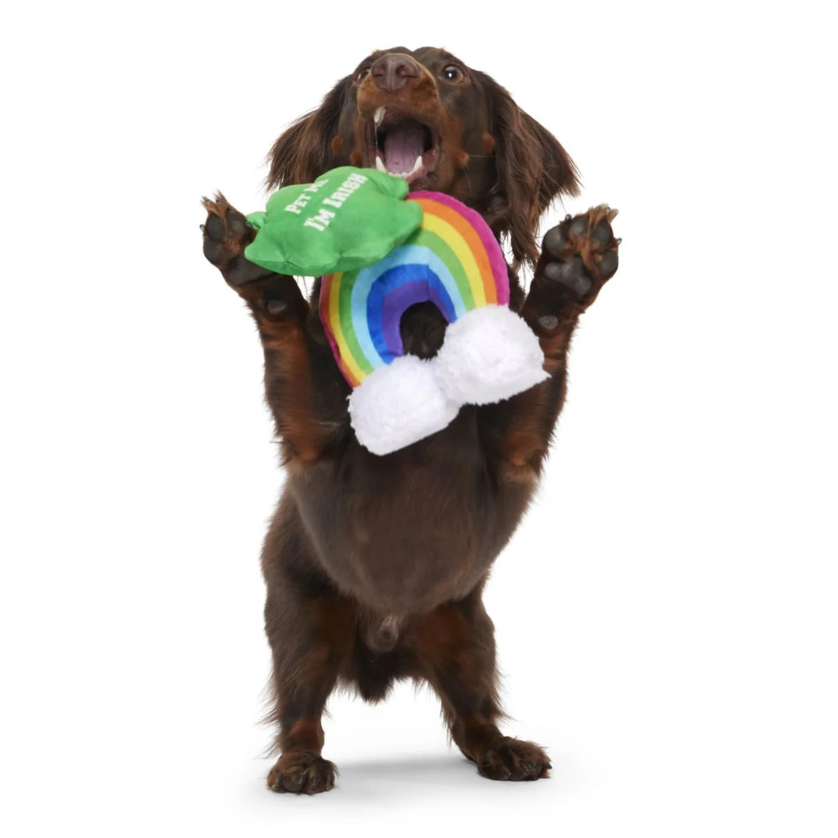 Puppy Charms Plush Multi-Part Dog Toy - Image 2