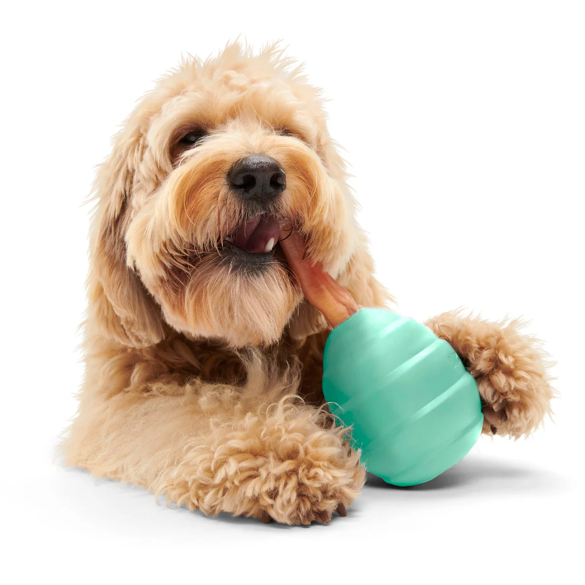 Pup's Treat Pinecone Toy Super Chewer Durable Enrichment + Fetch Dog Toy - Image 2