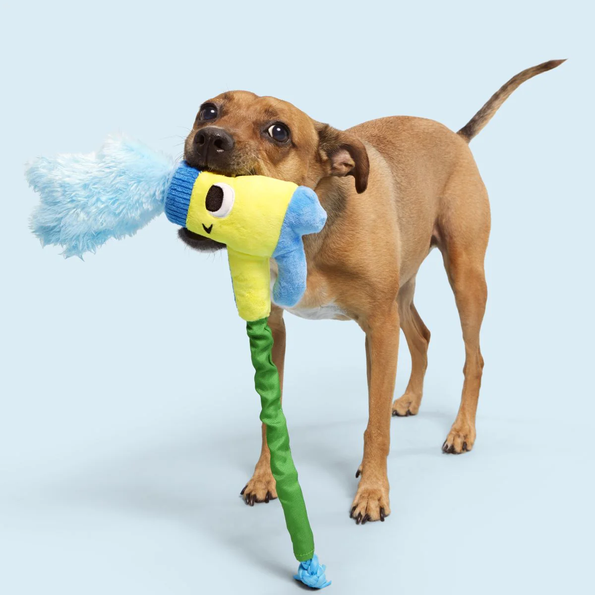 Puttin' on the Spritz Plush Tug Dog Toy - Image 2