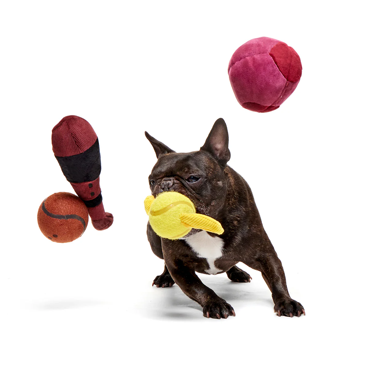 Quidditch™ Equipment Pack Plush Multi-Part + Fetch Dog Toy - Image 2