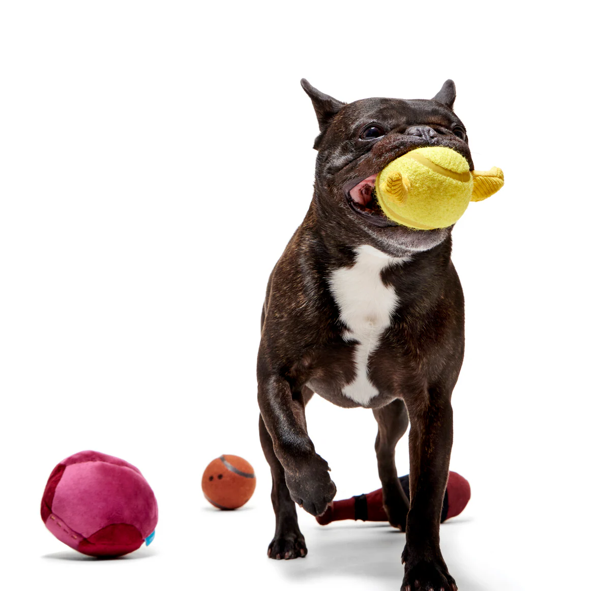 Quidditch™ Equipment Pack Plush Multi-Part + Fetch Dog Toy - Image 3