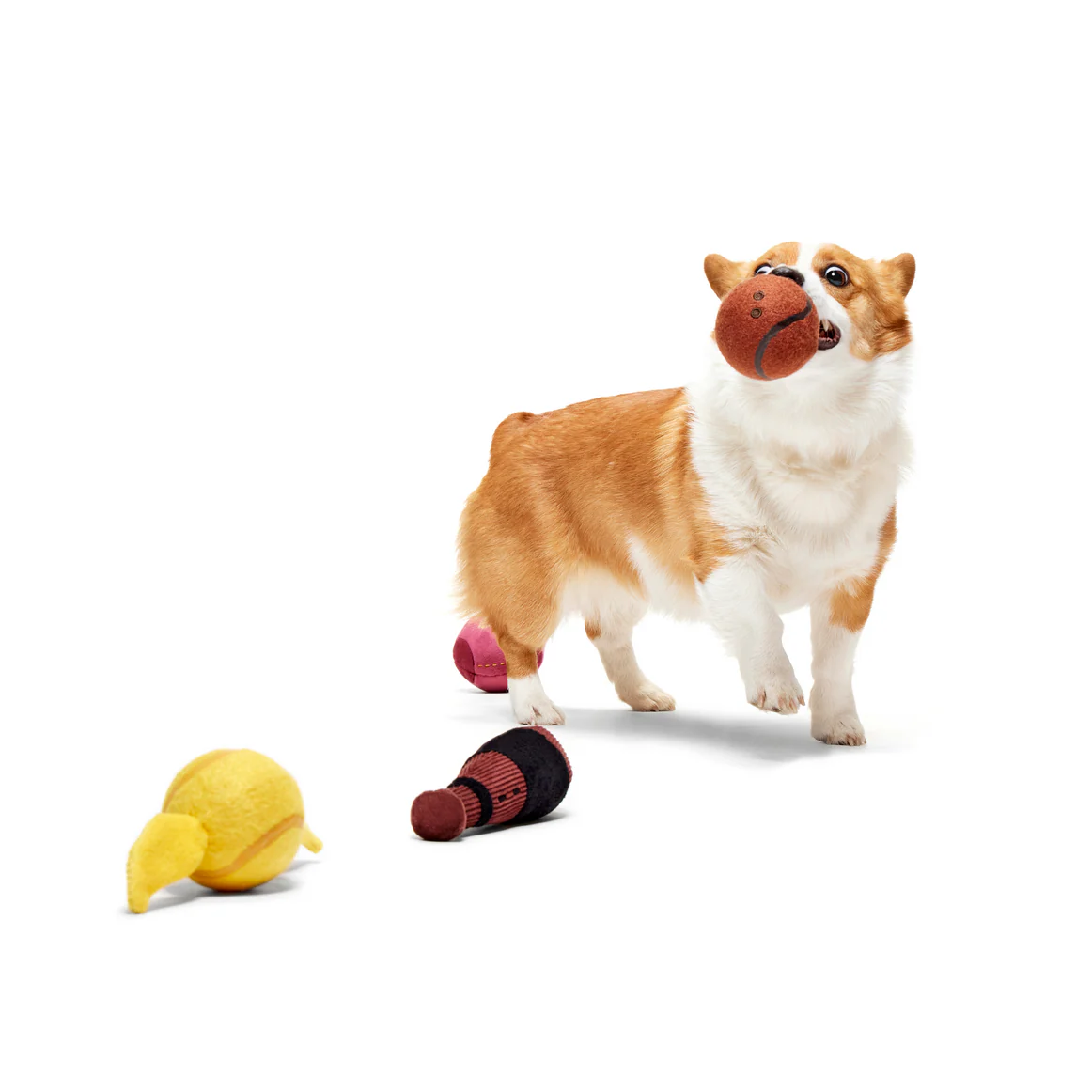Quidditch™ Equipment Pack Plush Multi-Part + Fetch Dog Toy - Image 4