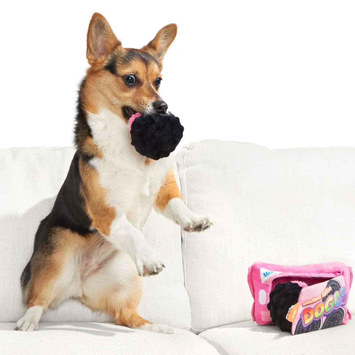 Rainbow Dogo Dunkers - Image 4