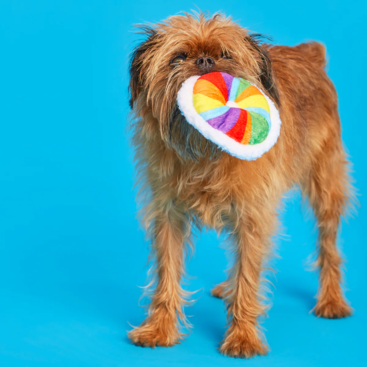 Rainbow-wow Bagel - Image 3