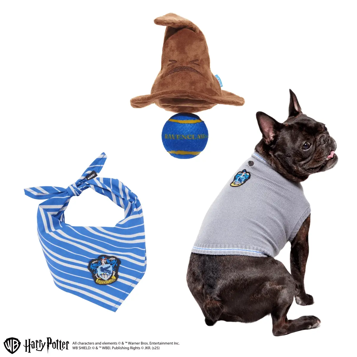 Ravenclaw™ Bundle - Image 2