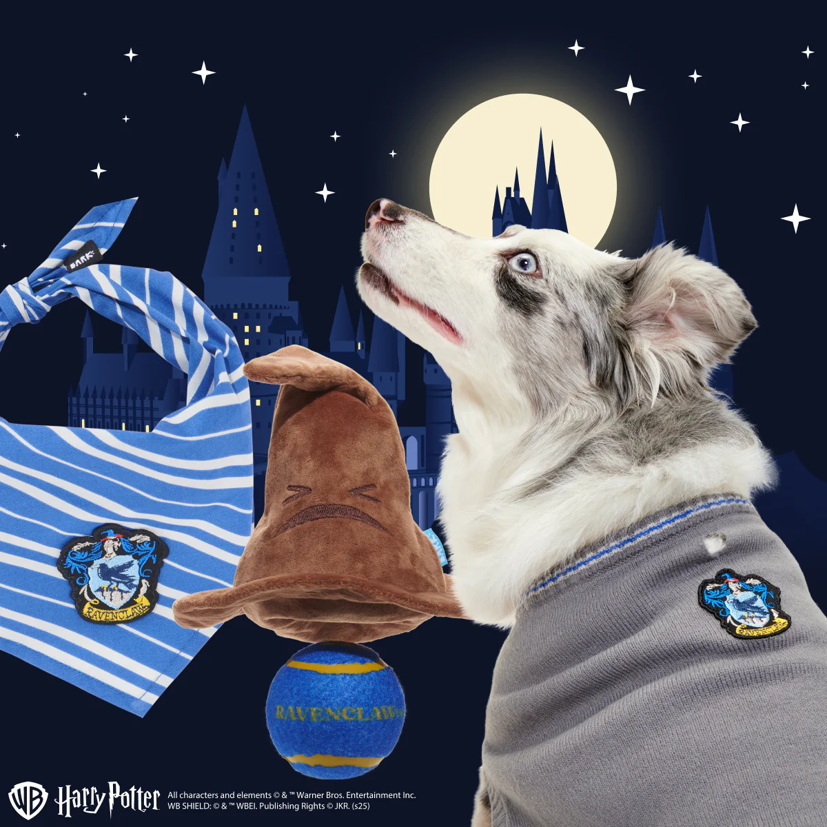 Ravenclaw™ Bundle - Image 3