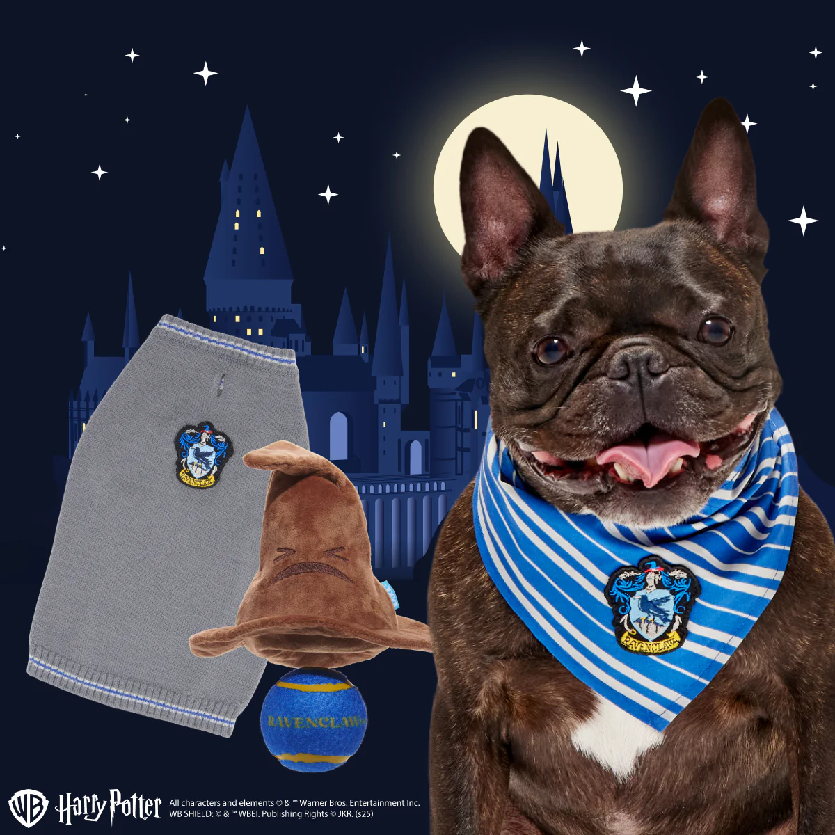 Ravenclaw™ Bundle - Image 4