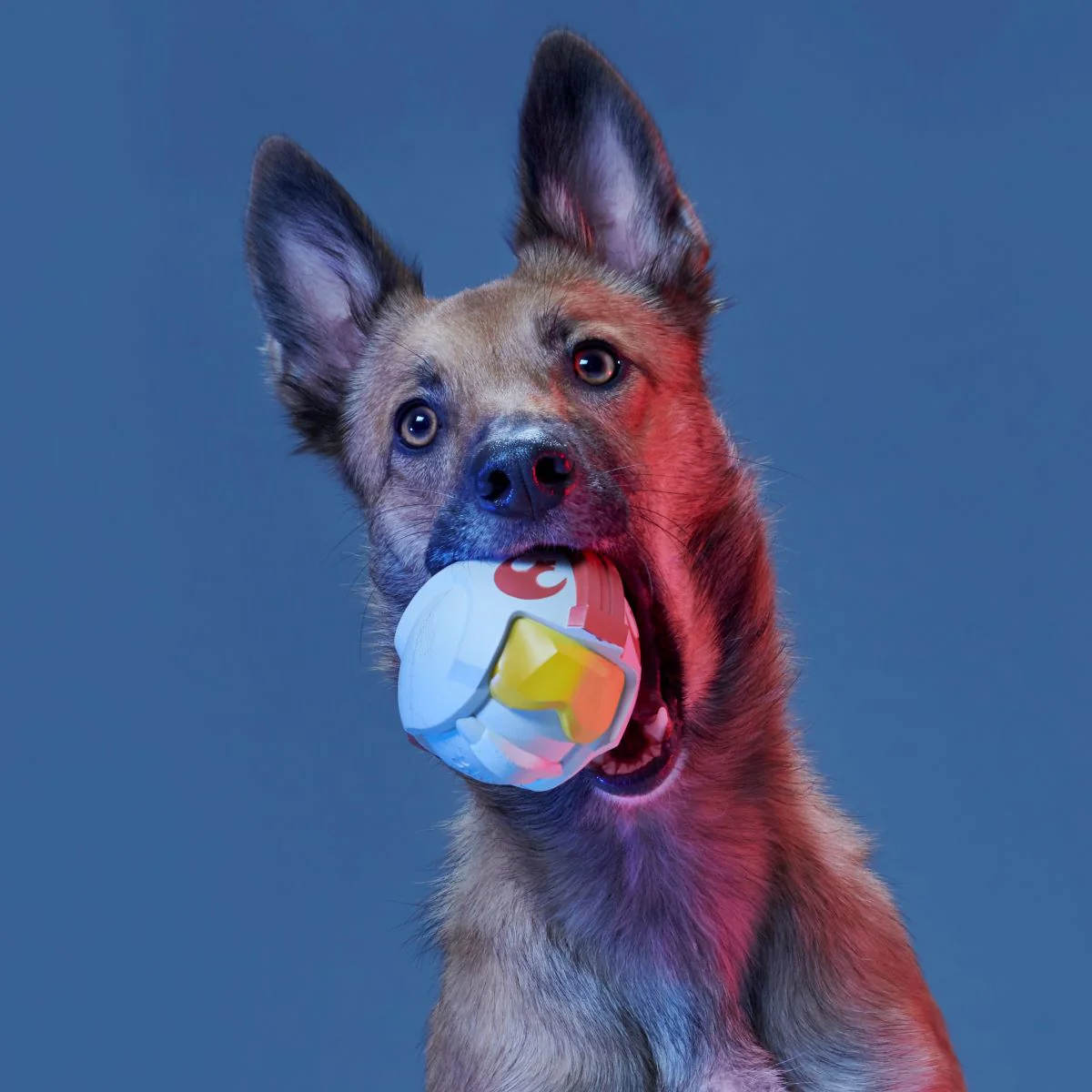Fetch My Rebel Helmet Durable Super Chewer Fetch Dog Toy - Image 2