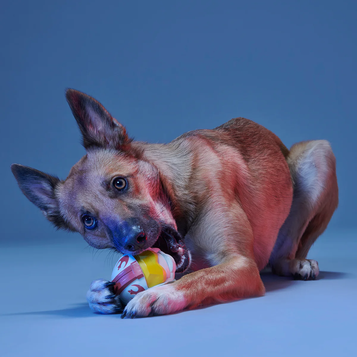 Fetch My Rebel Helmet Durable Super Chewer Fetch Dog Toy - Image 3