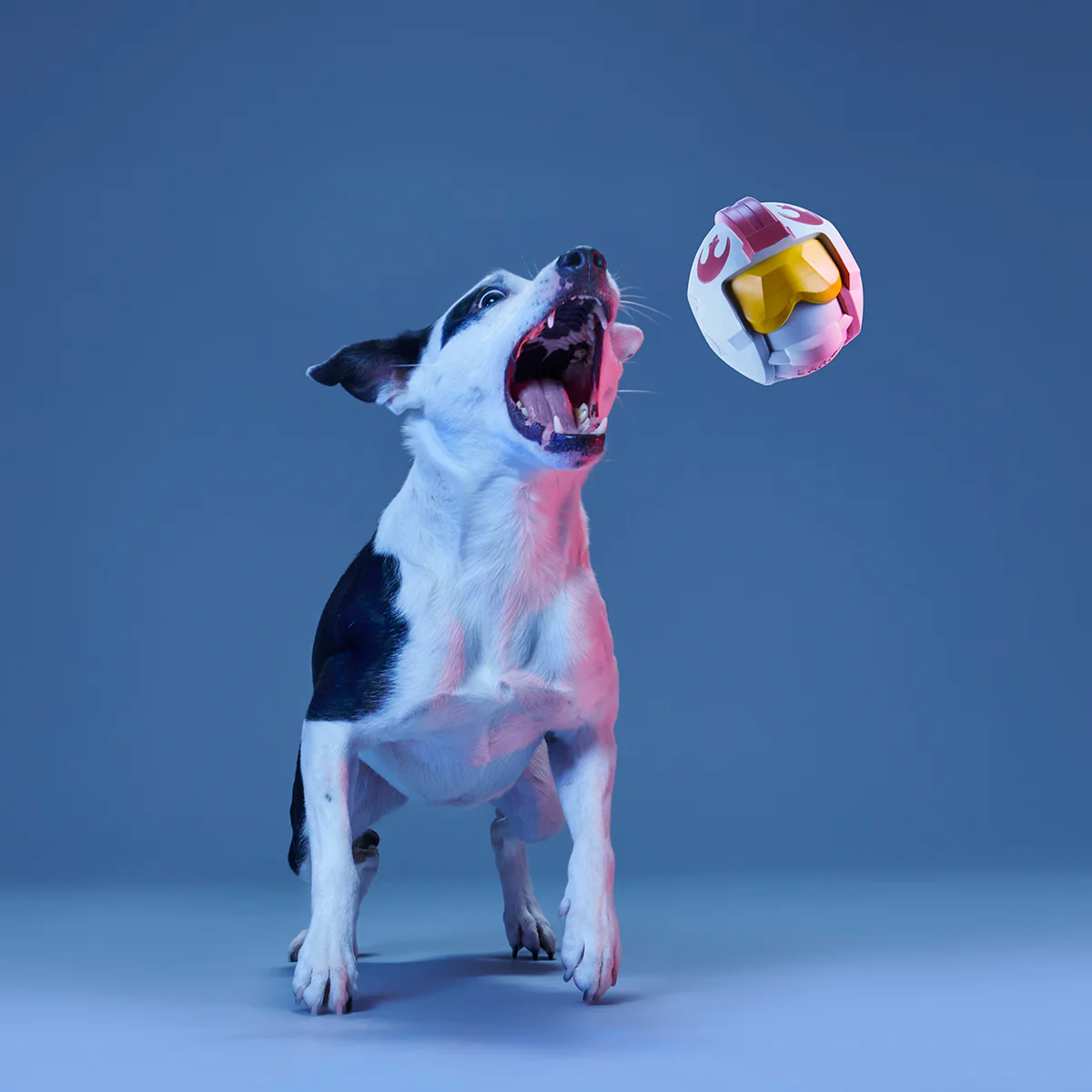 Fetch My Rebel Helmet Durable Super Chewer Fetch Dog Toy - Image 4