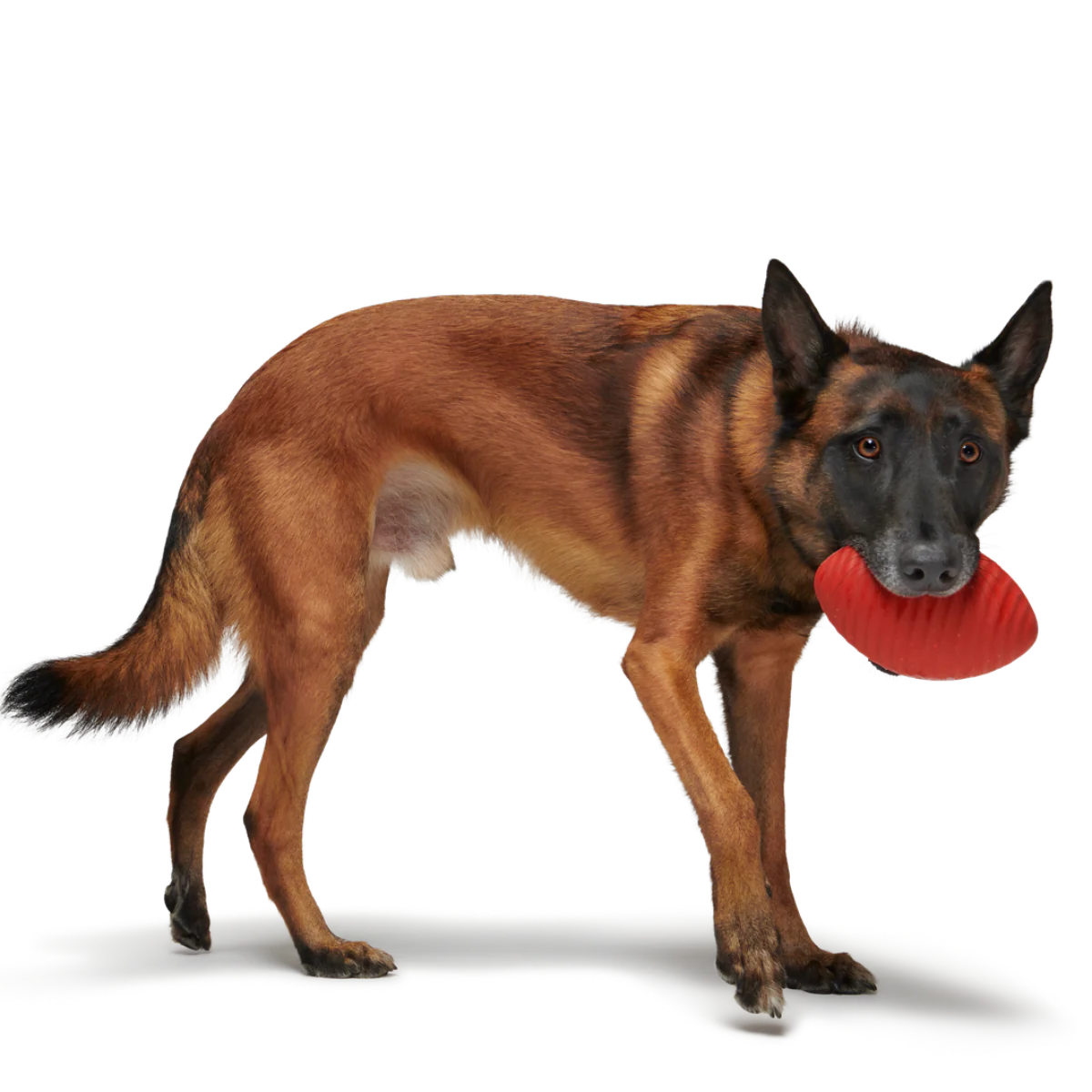 Red Zone Football Durable Super Chewer Fetch Dog Toy - Image 2