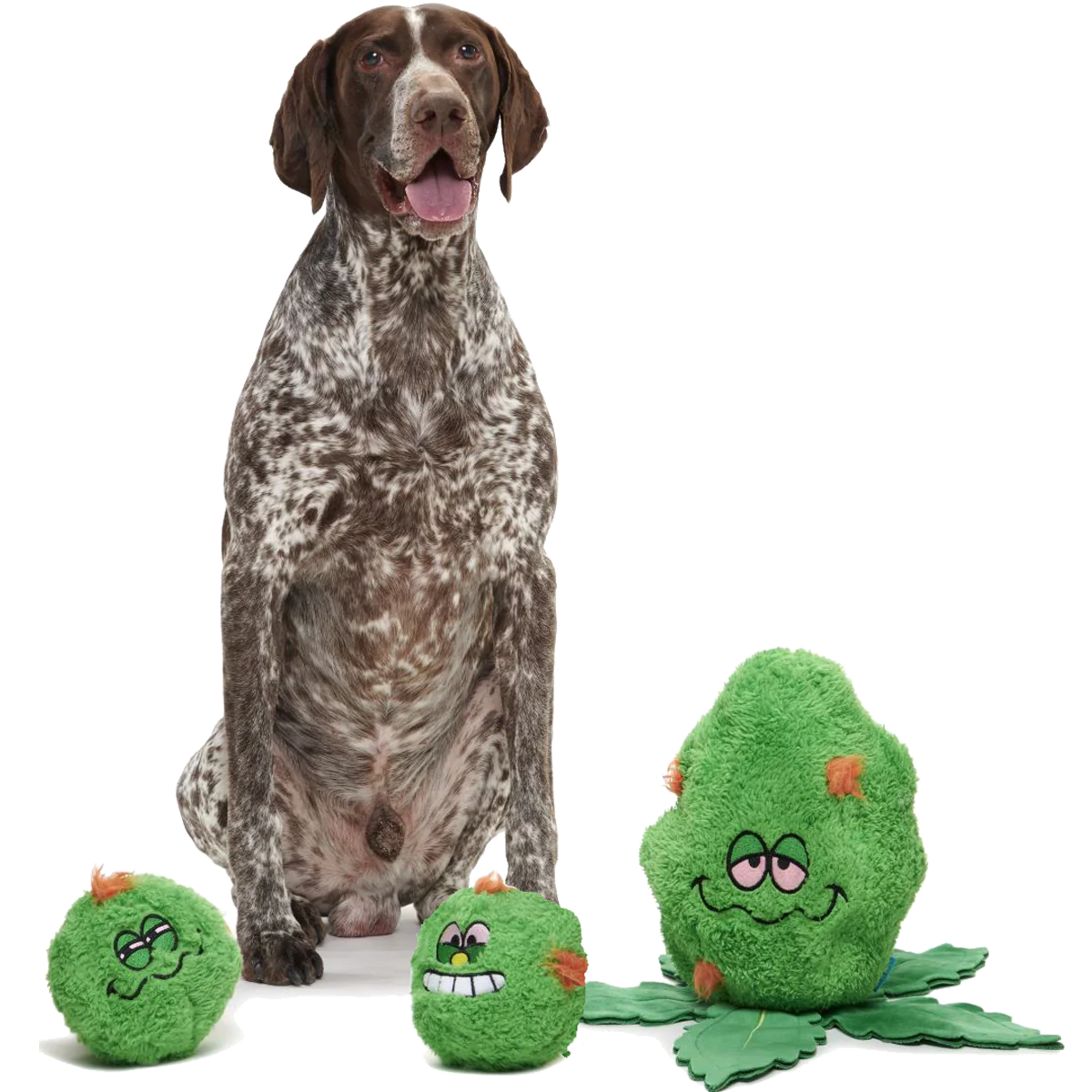 Rip Von Dankle Plush 2-in-1 Rip and Reveal Dog Toy - Image 2