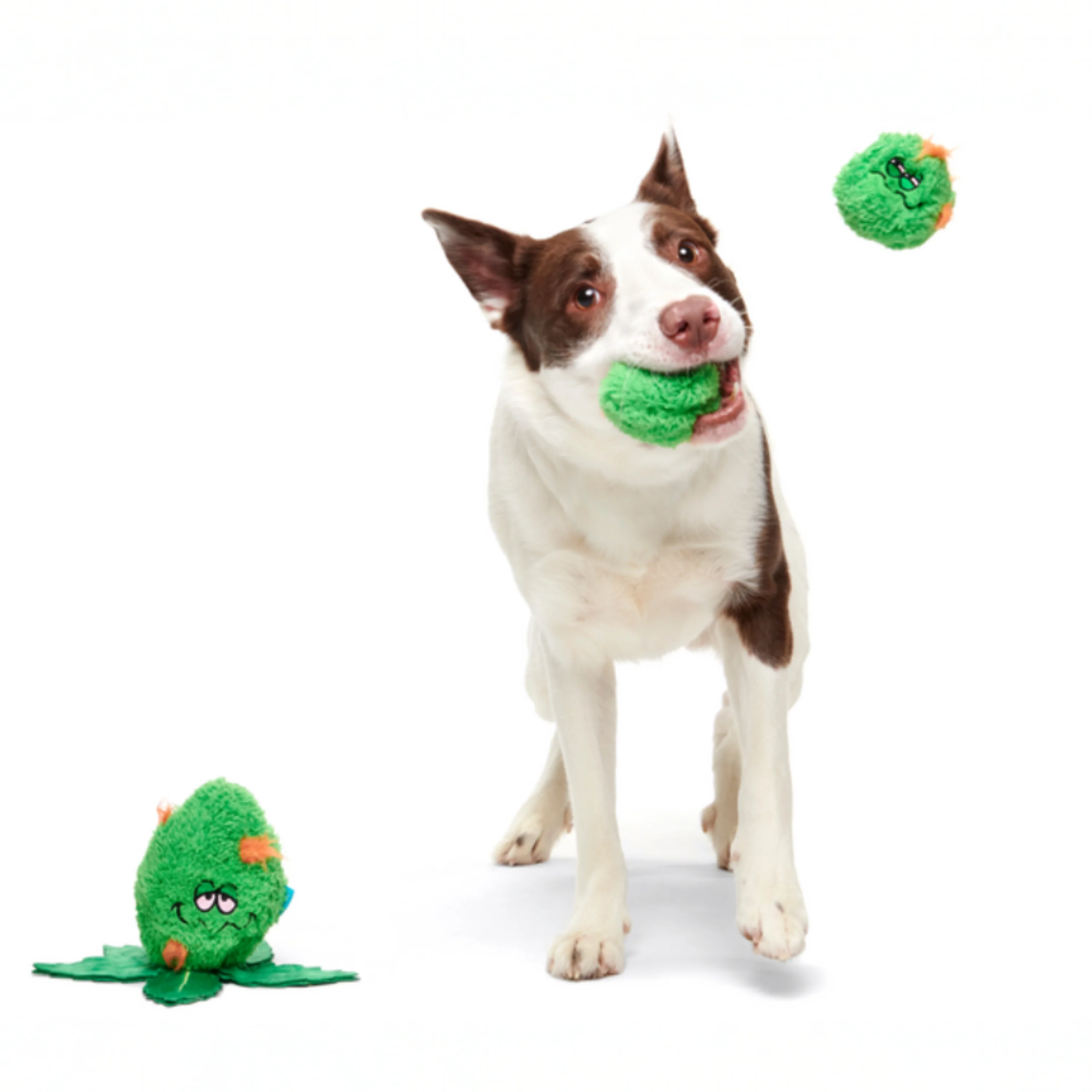 Rip Von Dankle Plush 2-in-1 Rip and Reveal Dog Toy - Image 3