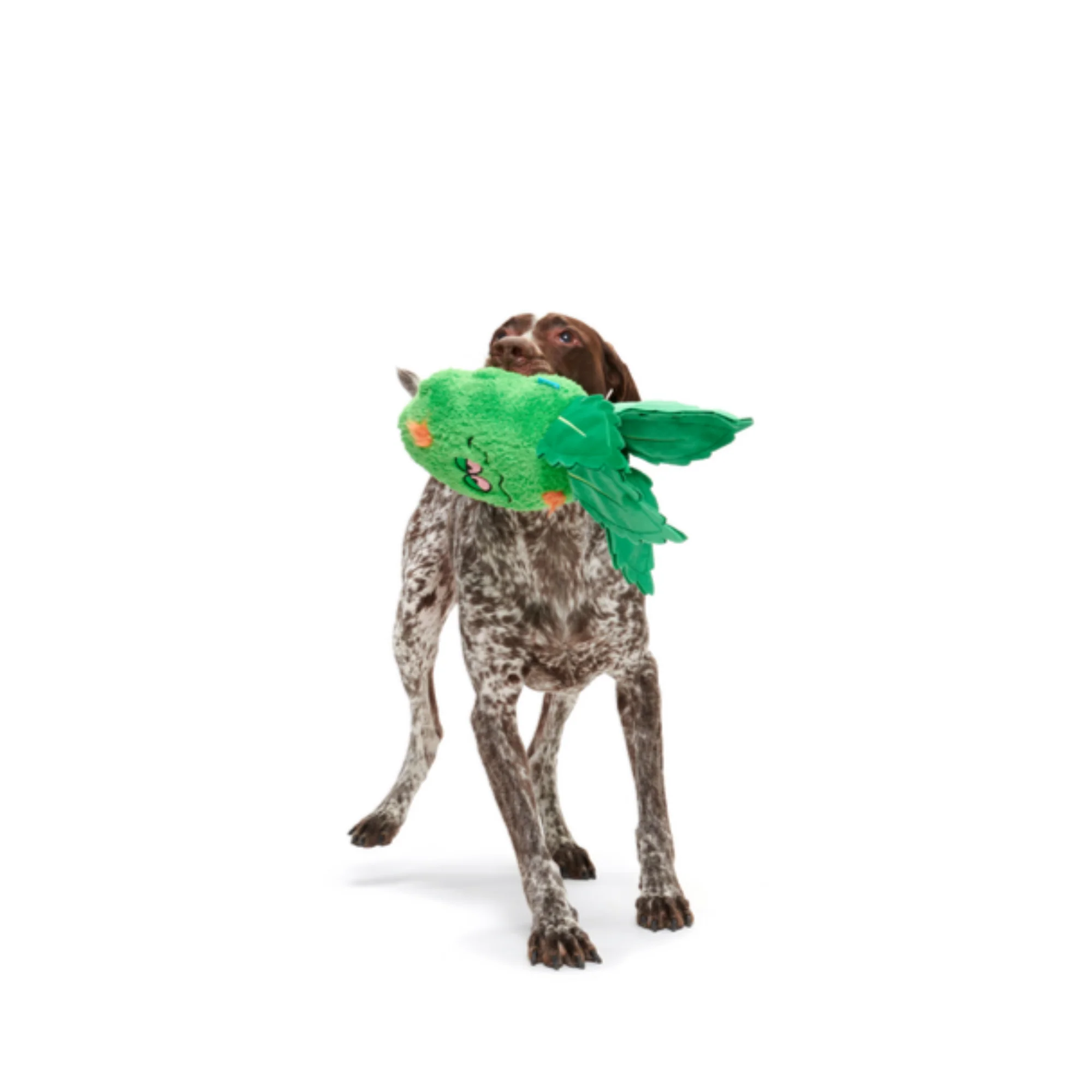 Rip Von Dankle Plush 2-in-1 Rip and Reveal Dog Toy - Image 4