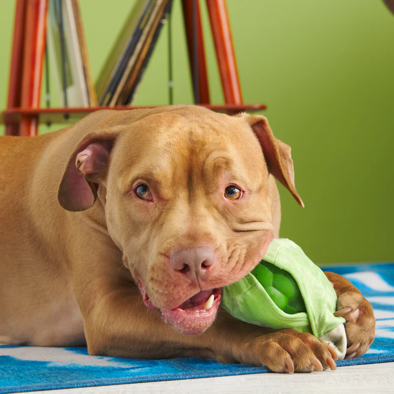 Roll Over Joint Super Chewer Durable 2-in-1 Dog Toy - Image 4