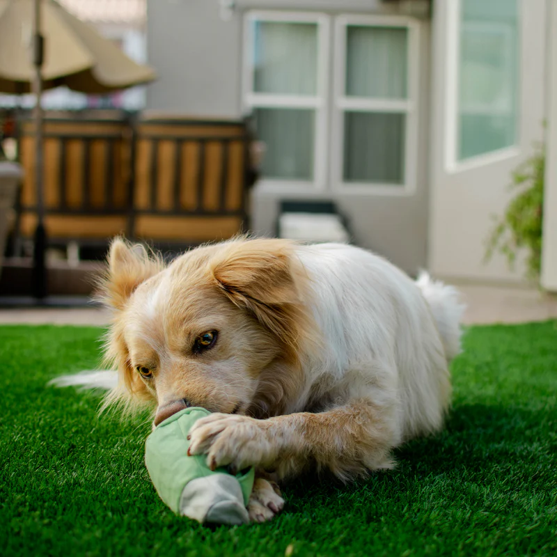 Roll Over Joint Super Chewer Durable 2-in-1 Dog Toy - Image 5