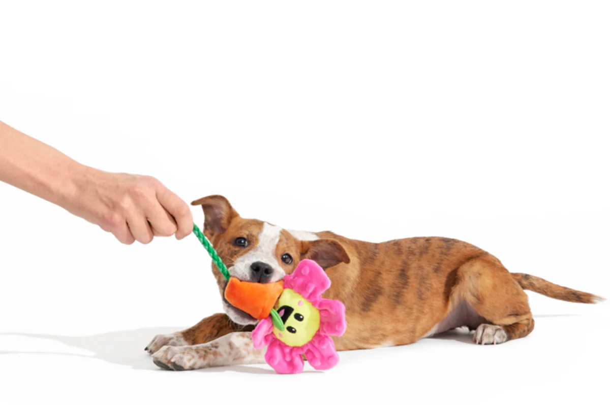 Rose the Daisy Plush Tug Dog Toy - Image 3