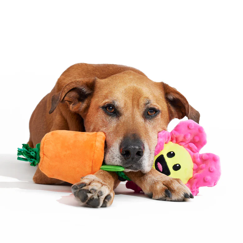 Rose the Daisy Plush Tug Dog Toy - Image 4