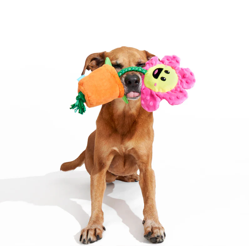 Rose the Daisy Plush Tug Dog Toy - Image 5