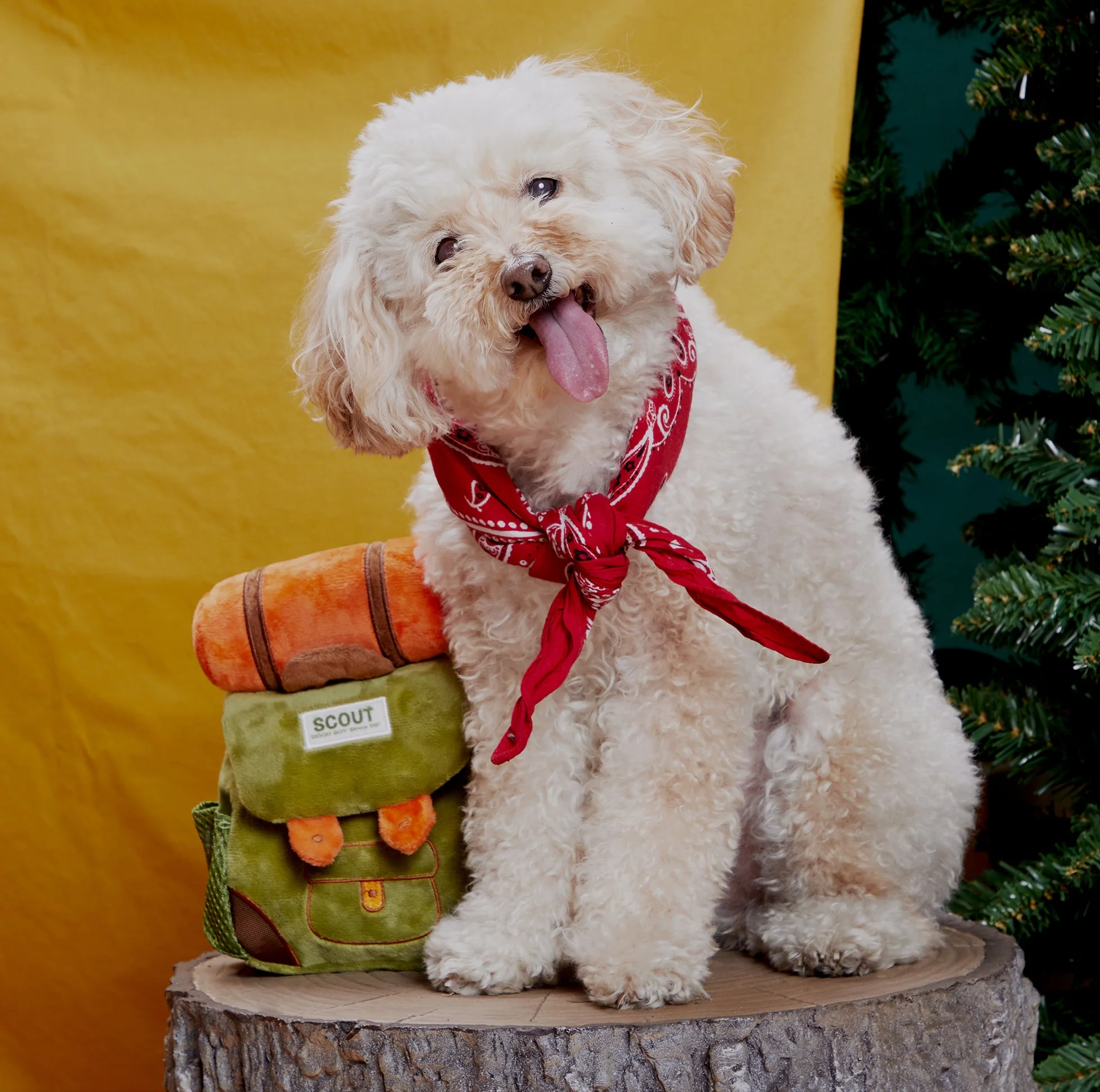 Rowdy Ruckus Rucksack Plush Enrichment Dog Toy - Image 2