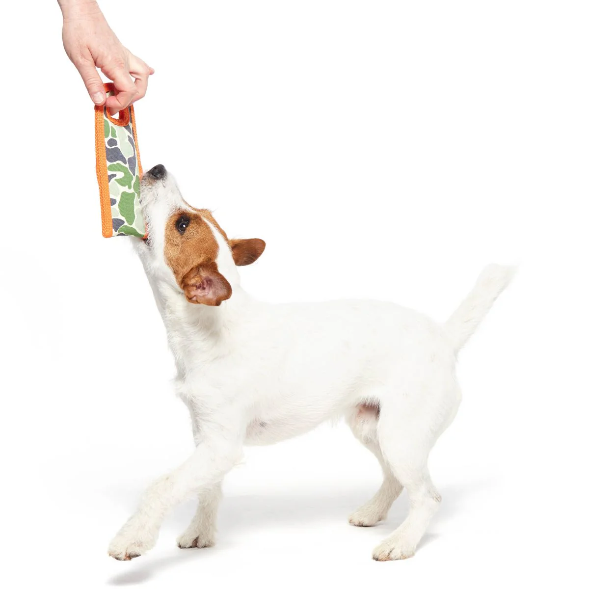Ruffhouse Camo Tug Durable Super Chewer Tug Dog Toy - Image 4