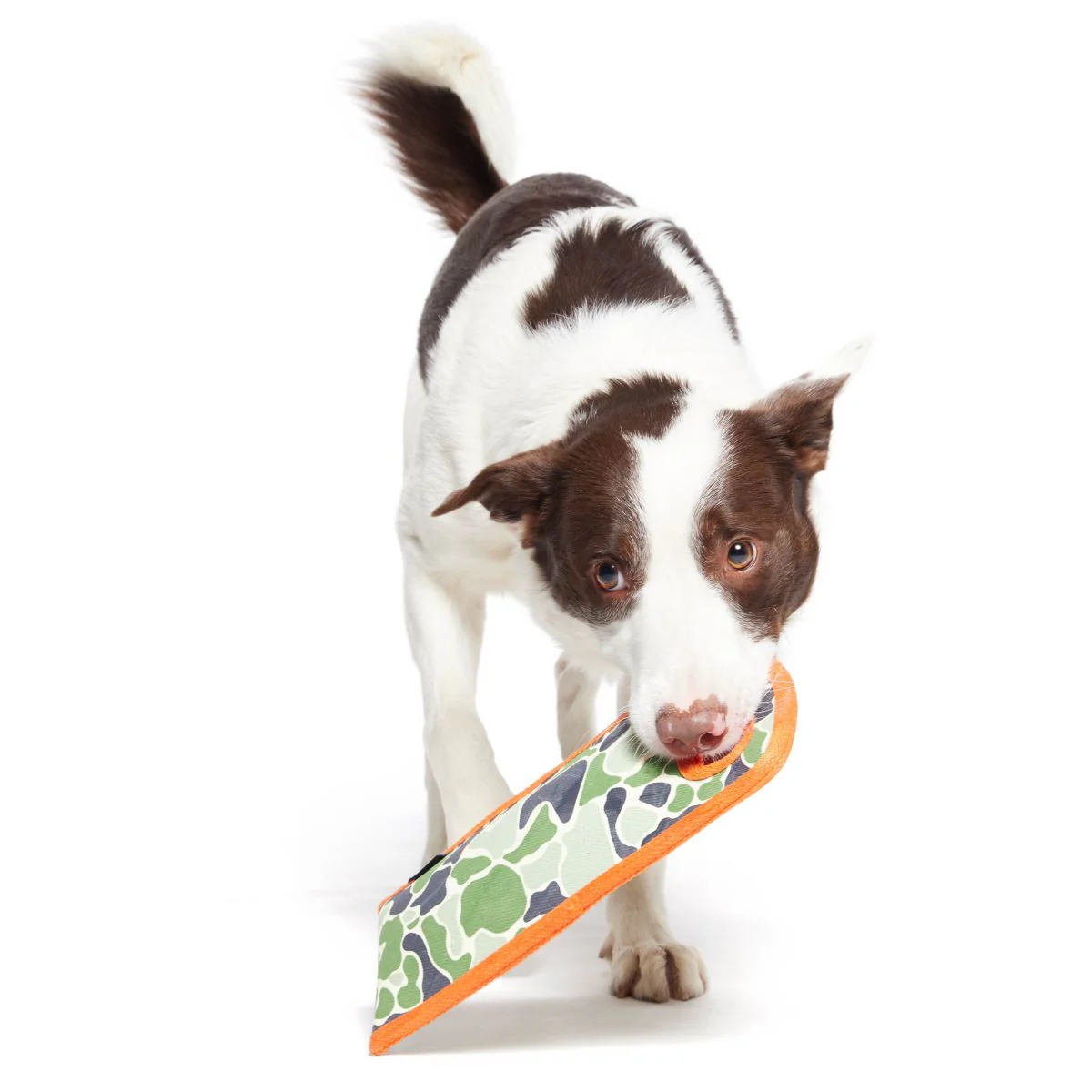 Ruffhouse Camo Tug Durable Super Chewer Tug Dog Toy - Image 5