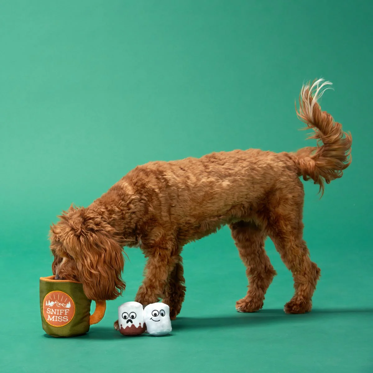 Ruffin It Mug Plush Multi-Part + Enrichment Dog Toy - Image 4