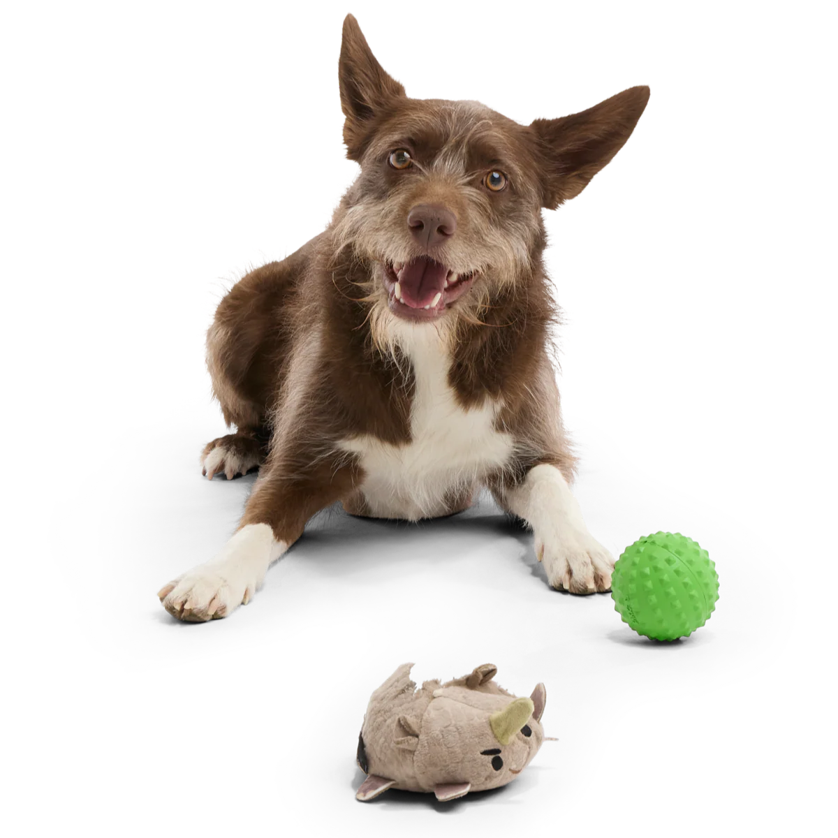 Ryan Ocerus Durable Super Chewer 2-in-1 Rip and Reveal + Fetch Dog Toy - Image 2
