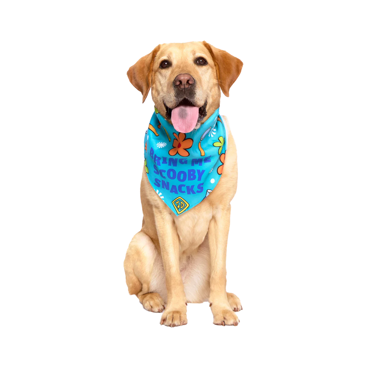 Scooby™ Snacks Dog Bandana