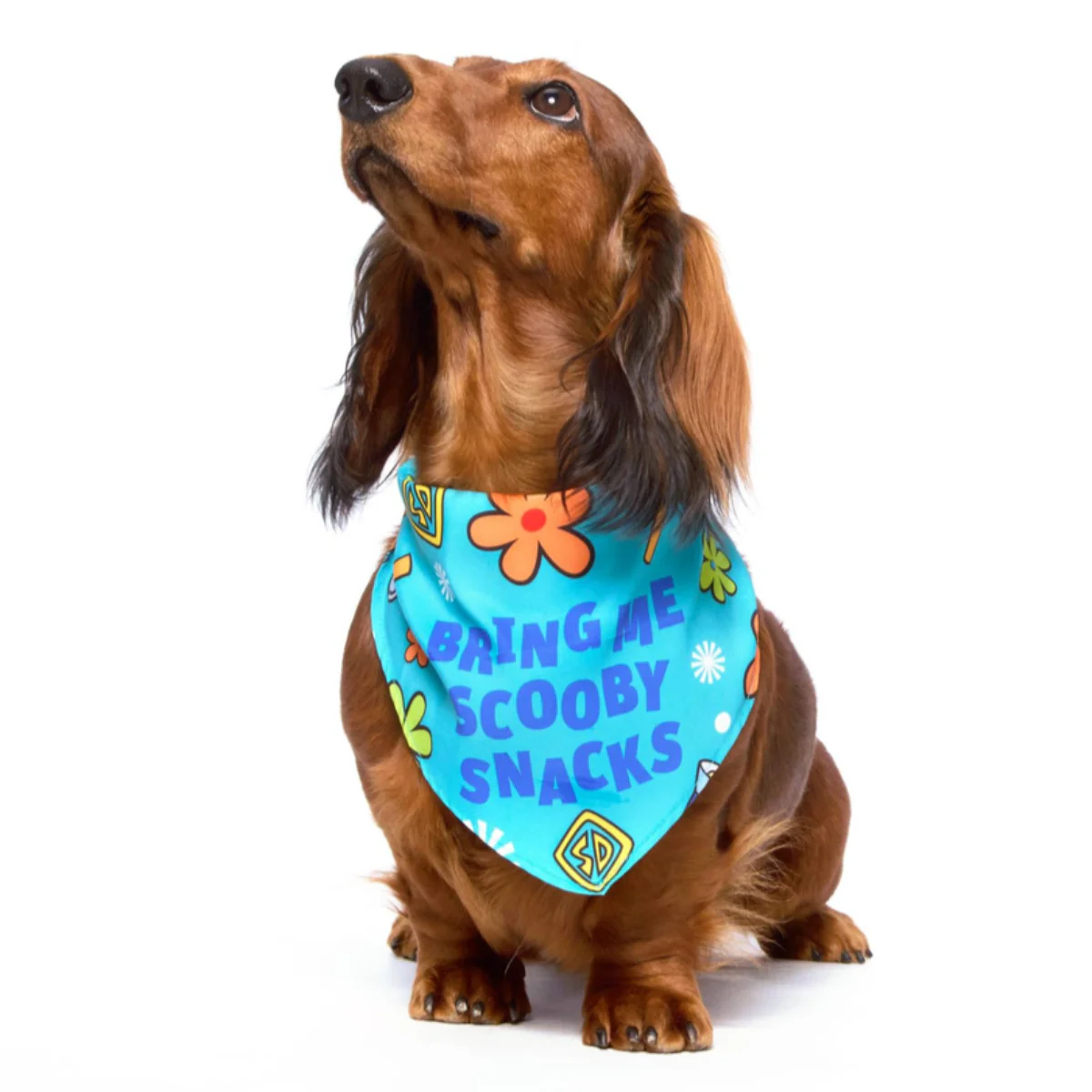 Scooby™ Snacks Dog Bandana - Image 2
