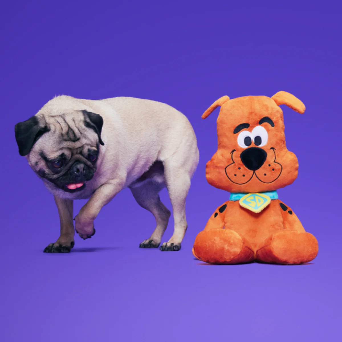 Scooby-Doo™ Bundle - Image 6