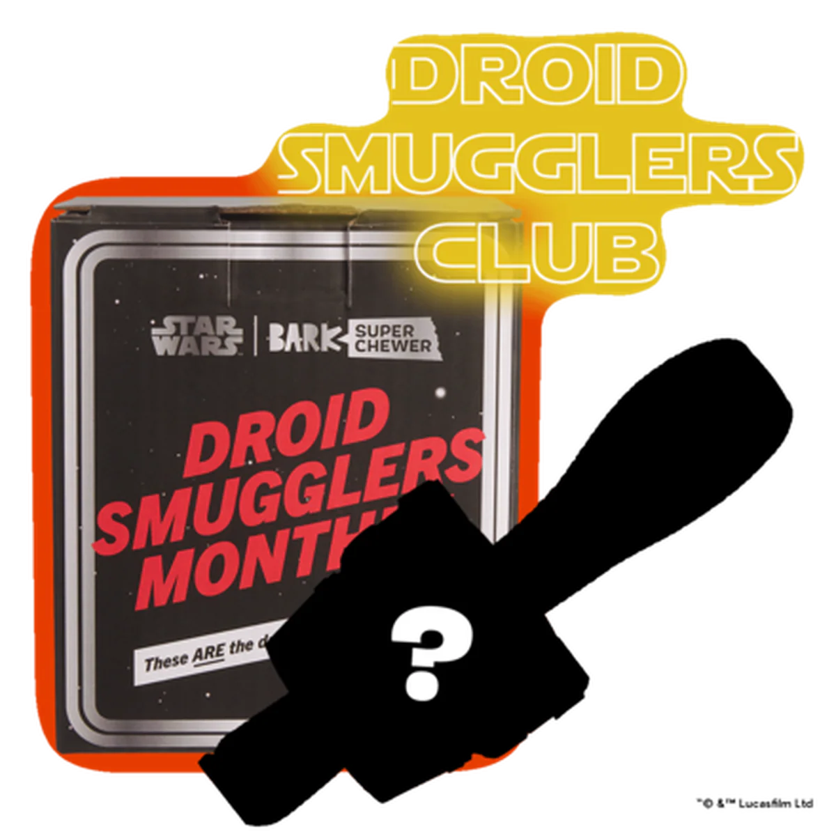 Star Wars™ Droid Smugglers Club, Super Chewer Durable Monthly Dog Toys