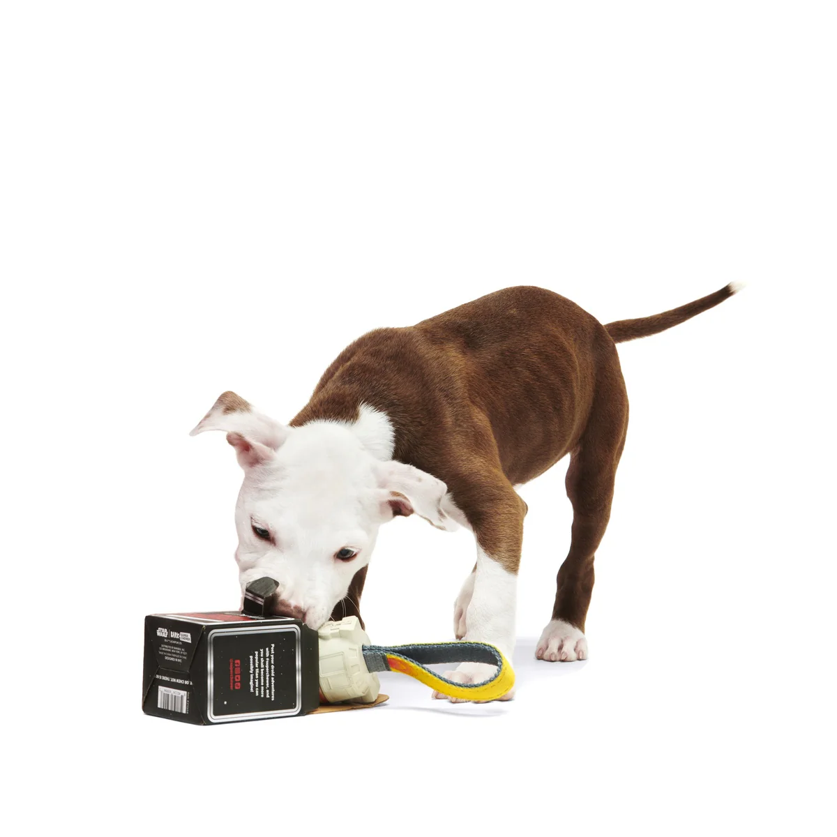 Star Wars™ Droid Smugglers Club, Super Chewer Durable Monthly Dog Toys - Image 4