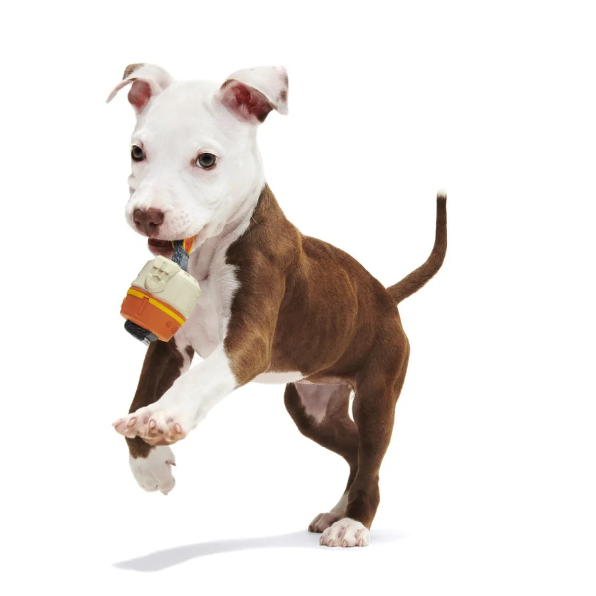 Star Wars™ Droid Smugglers Club, Super Chewer Durable Monthly Dog Toys - Image 5