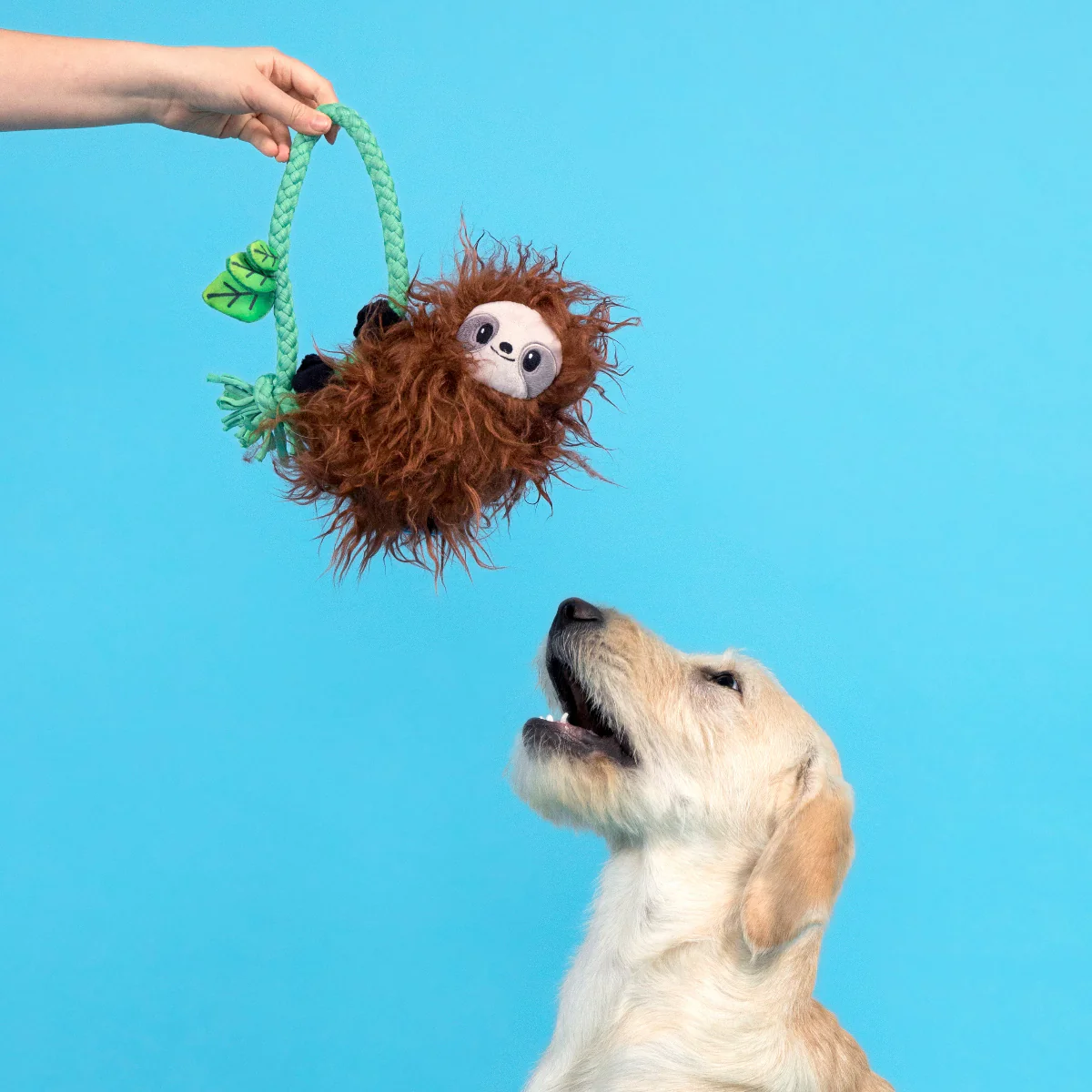 Slo-mo Beau Plush Tug Dog Toy - Image 2