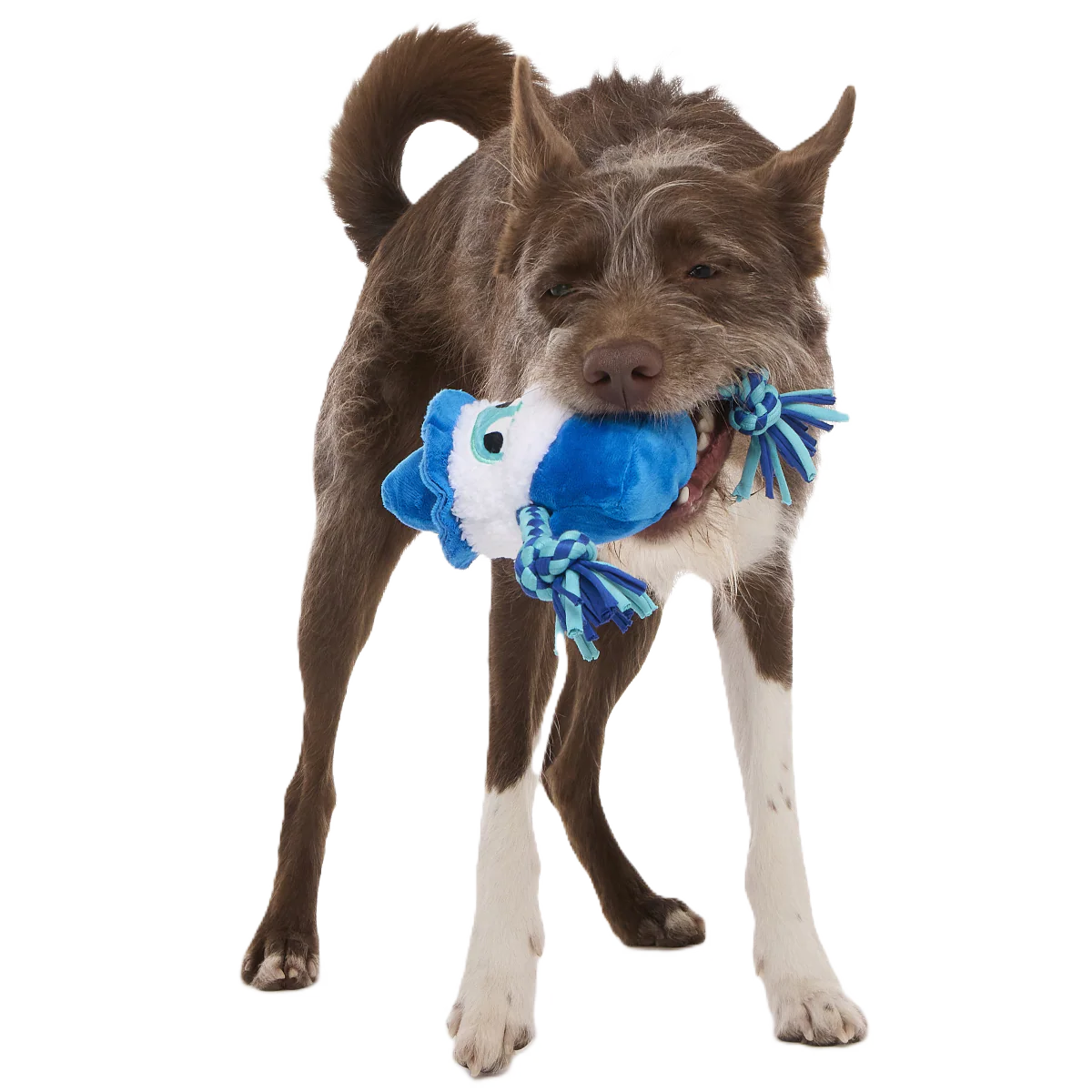 Smellcaster Merlin Plush Tug Dog Toy - Image 2