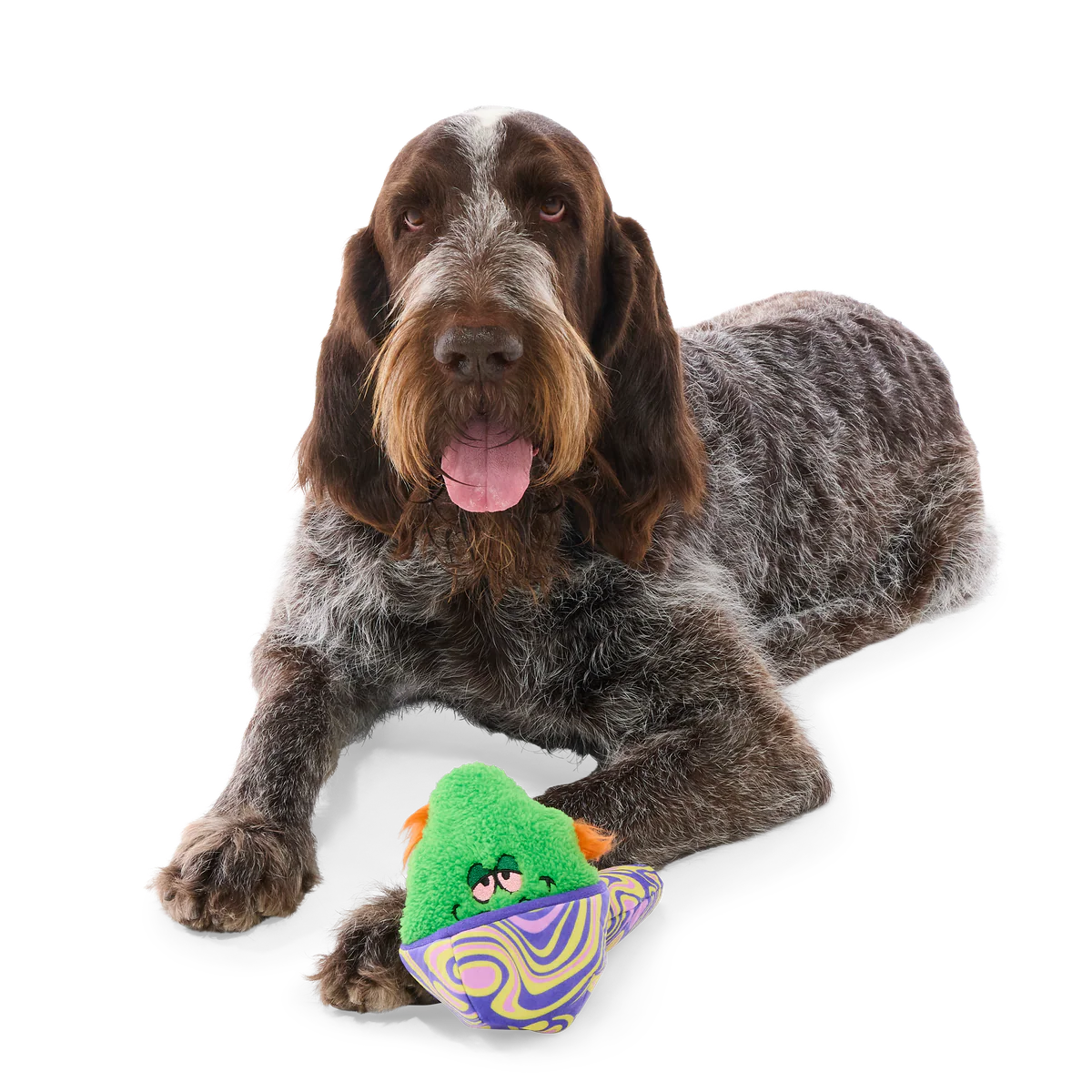 Snack-a-Bowl Plush Multi-Part + Enrichment Dog Toy - Image 5