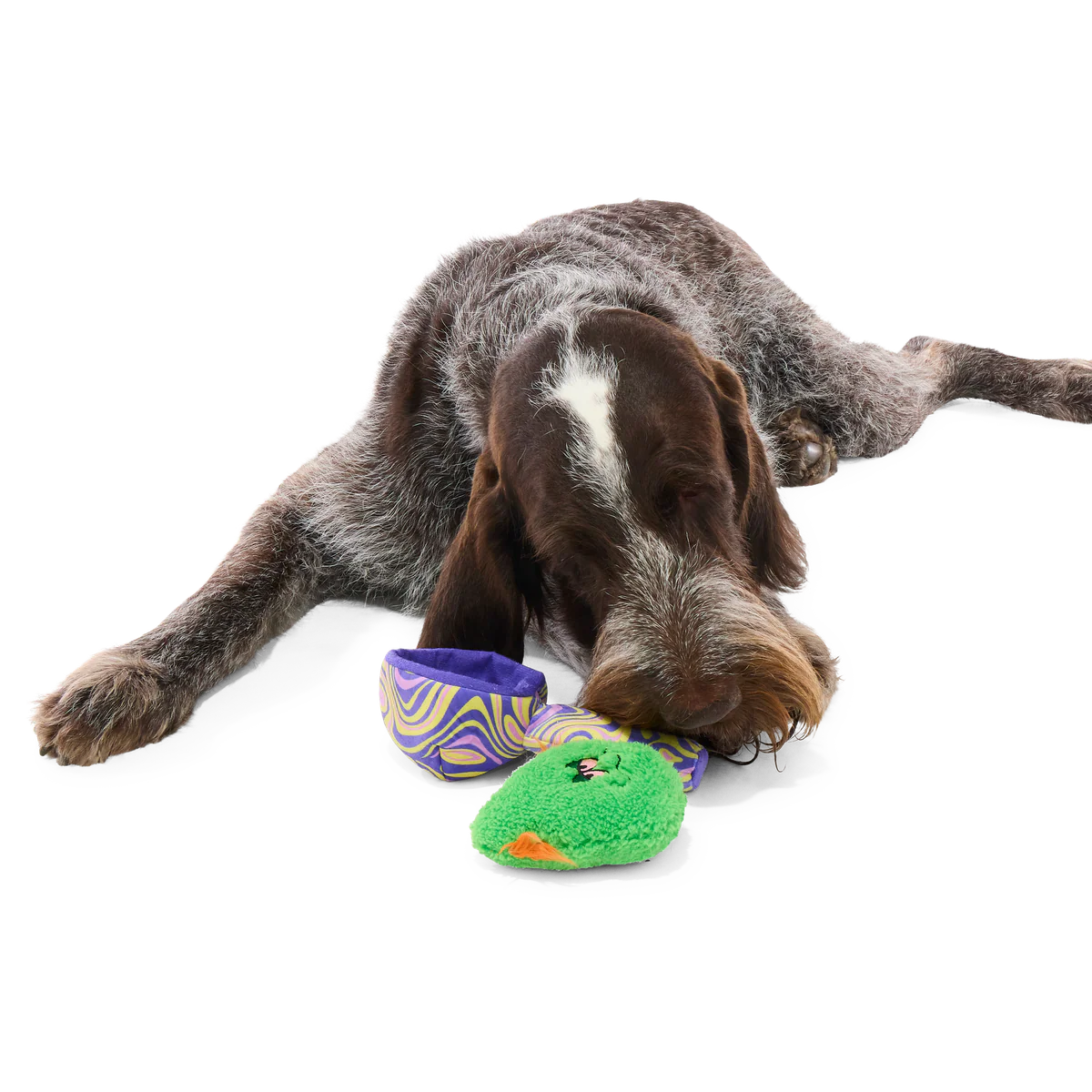 Snack-a-Bowl Plush Multi-Part + Enrichment Dog Toy - Image 6