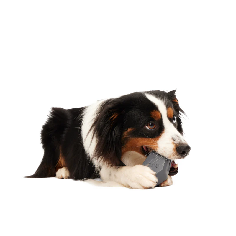 Snack Casket Super Chewer Durable Enrichment Dog Toy - Image 3