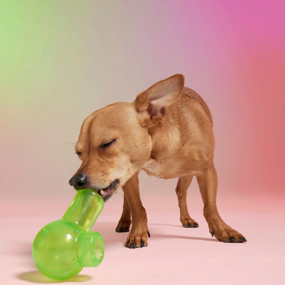 Snack Packed Bong Super Chewer Durable Enrichment Dog Toy - Image 3