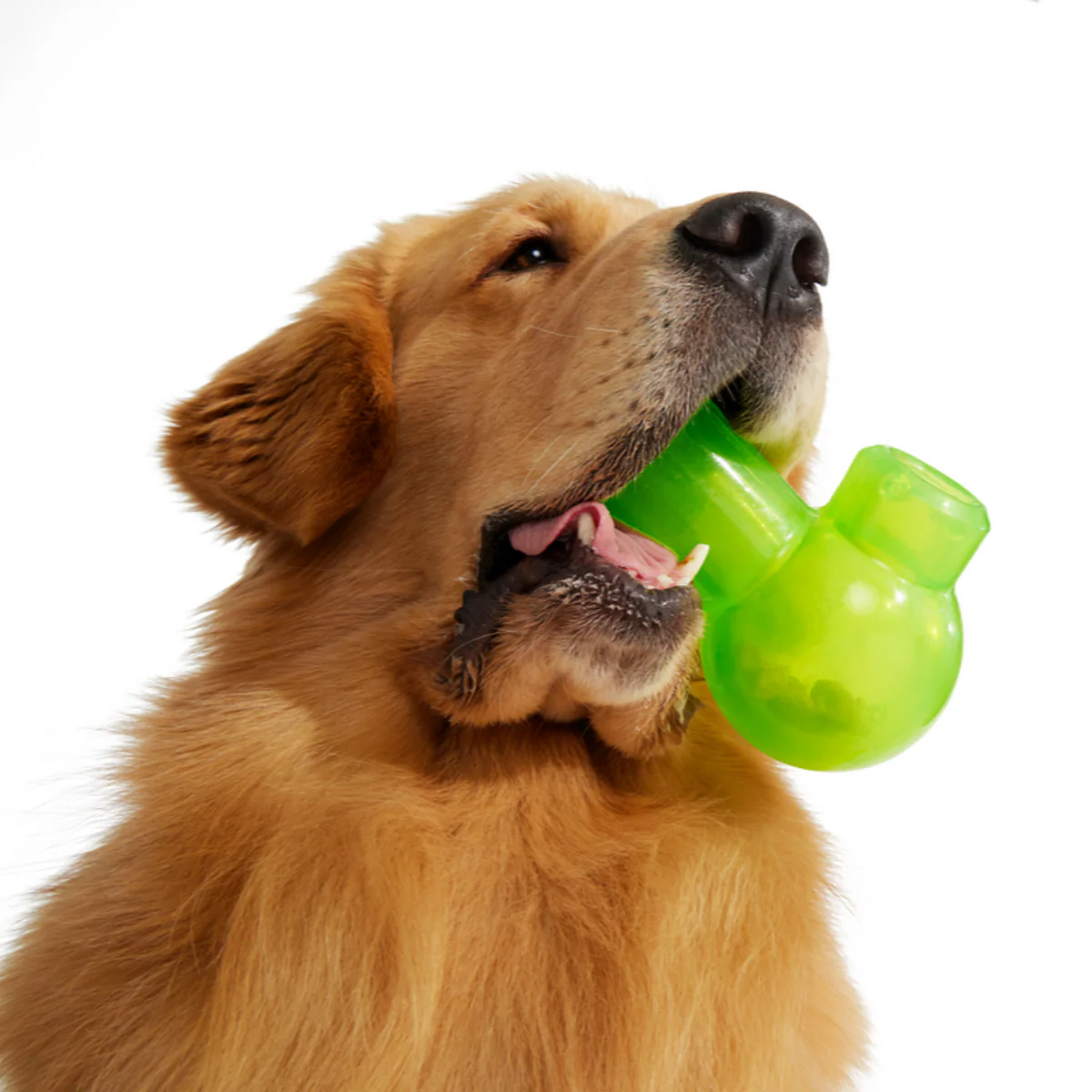 Snack Packed Bong Super Chewer Durable Enrichment Dog Toy - Image 5