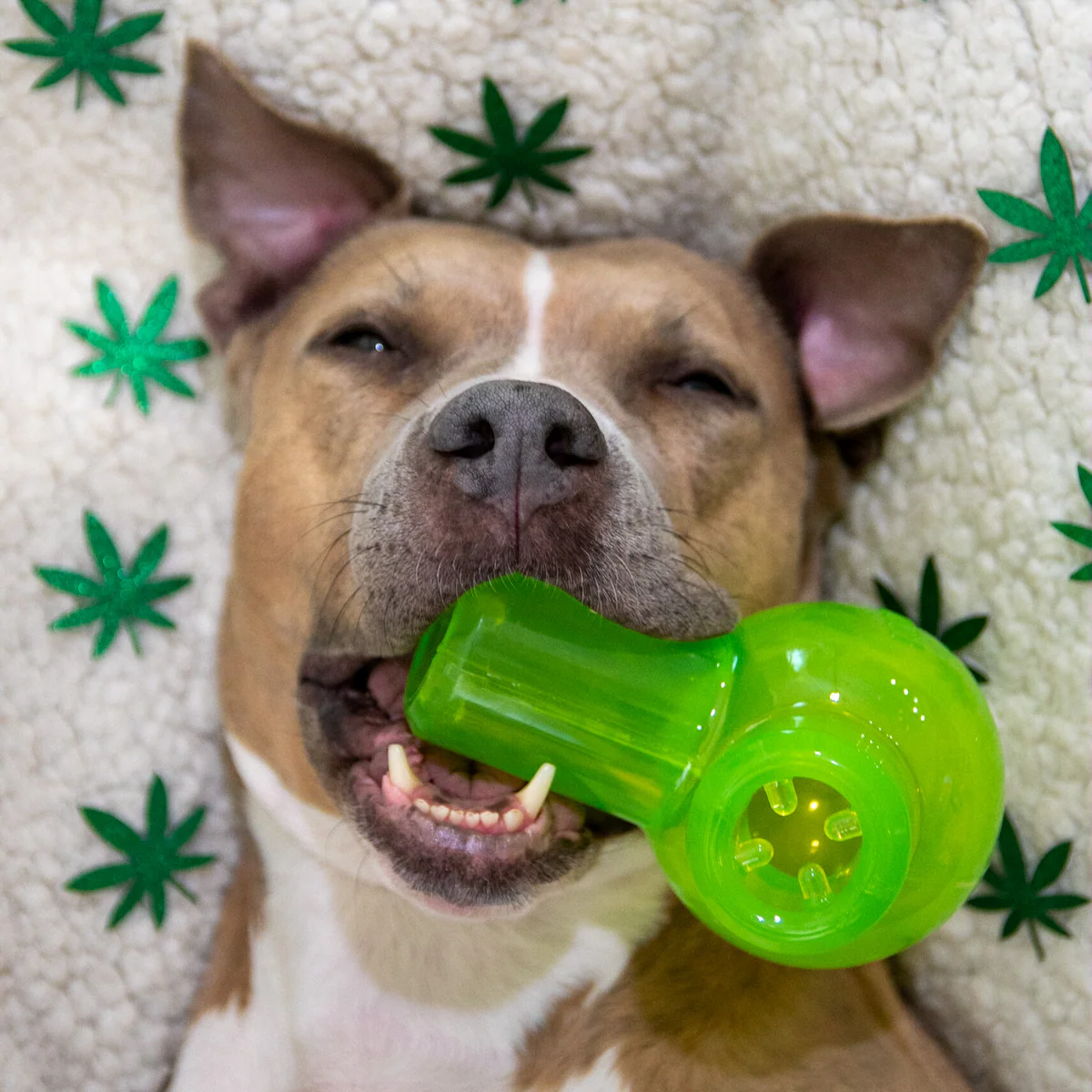 Snack Packed Bong Super Chewer Durable Enrichment Dog Toy - Image 6